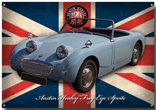 Austin healey grenouille eye - healey,